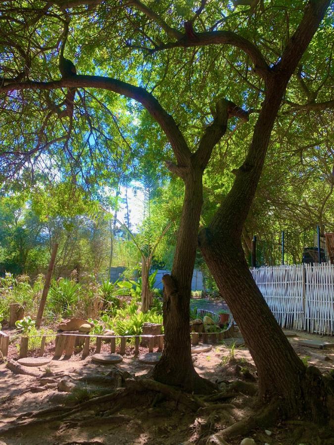The Little Hideaway Guesthouse Стелленбос Экстерьер фото